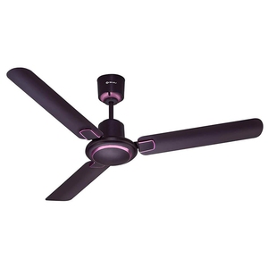 Bajaj Regal Gold NXG 1200 mm 3 Blade Ceiling Fan (Wine Red)