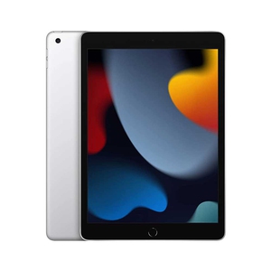 Apple iPad (9th Gen) 256 GB ROM 10.2 inch with Wi-Fi Only (Silver)