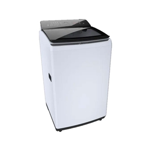 BOSCH 6.5 Kg Top load Washing Machine with Cold wash option (WOE651W0IN, Series 2)