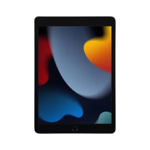 APPLE iPad (9th Gen) 256 GB ROM 10.2 inch with Wi-Fi Only (Space Grey)