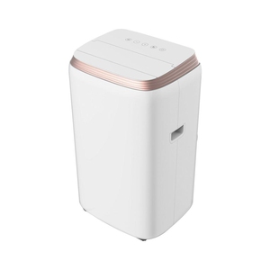 Lloyd 1 Ton Portable Air Conditioner, GLP12B01TP