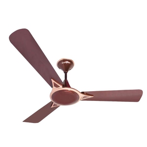 CROMPTON Avncr Prime Anti Dust 1200 mm 3 Blade Ceiling Fan coffee Brown,