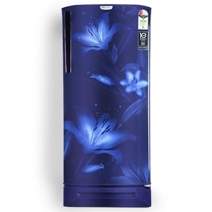 Godrej Edge 192 L 2 Star Direct Cool Single Door Refrigerator (RD EDGENEO 207B 23 TDF BH BL, Blush Blue)