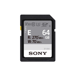 Sony 64 GB Memory Card (SF-E64, Black)