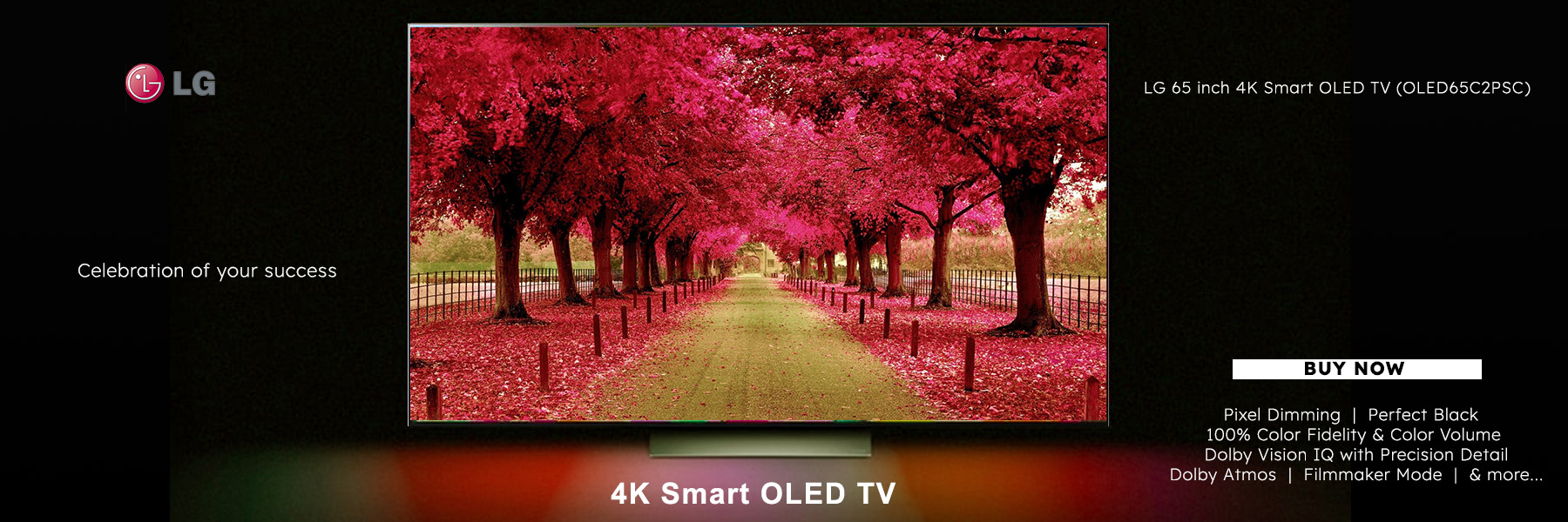 LG 65 inch 4K Smart OLED TV (OLED65C2PSC)