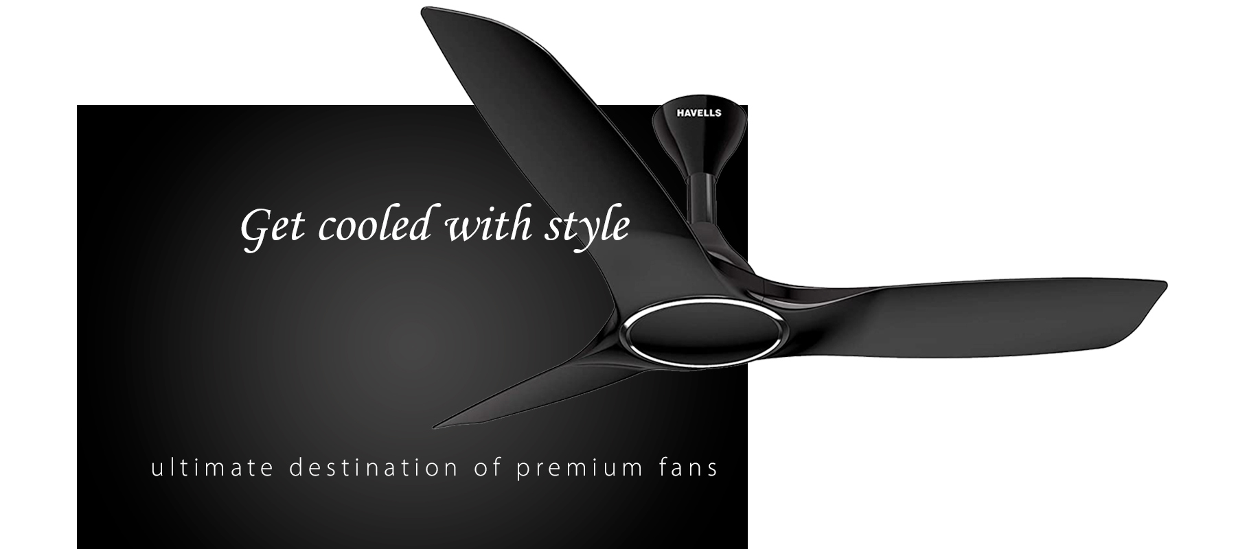 Premium brand fans
