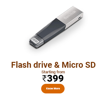 Flash drive and micro sd